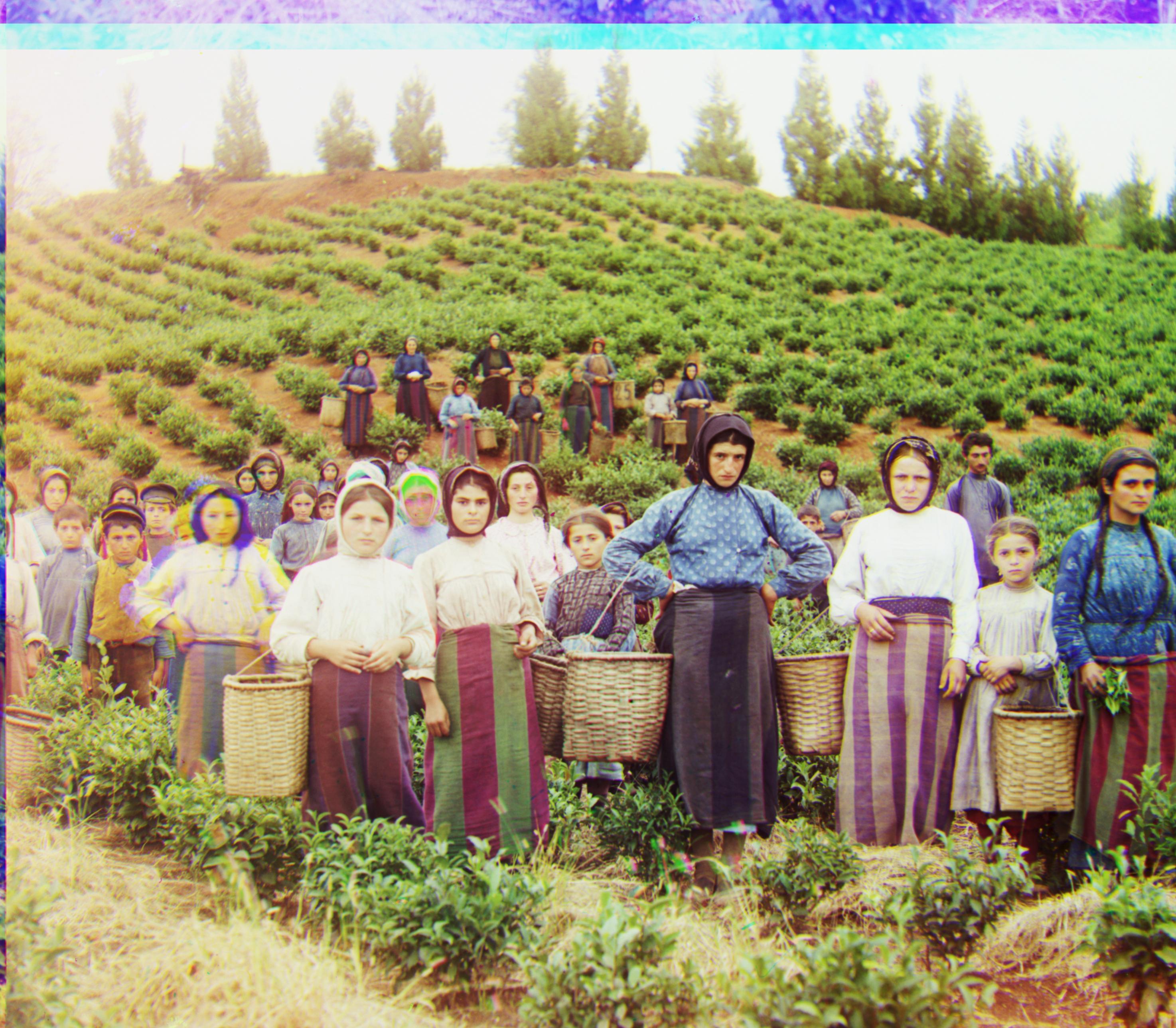 Harvesters Pyramid