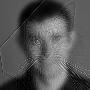 Hybrid Image Results